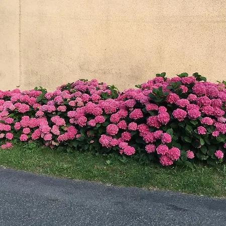 Les D'hotes D'alice Dior Pensión