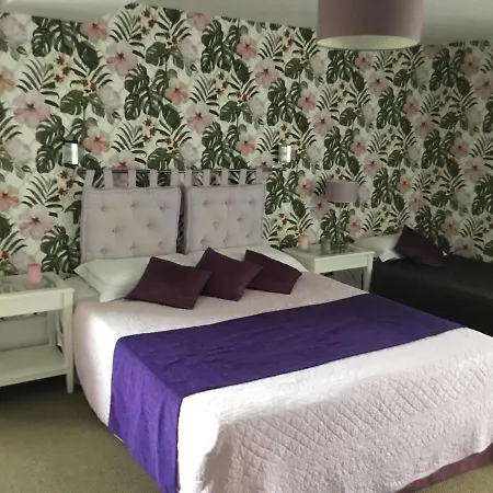 招待所 阿莉斯迪奥旅馆